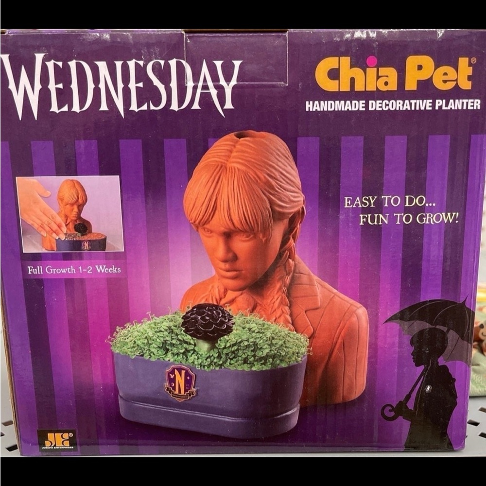 Wednesday Aadams Family Chia Pet Thing Plant Clay Pot Grow Kit Seeds Fun planter